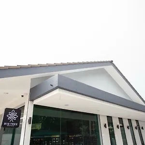 酒店 大树精品酒店
